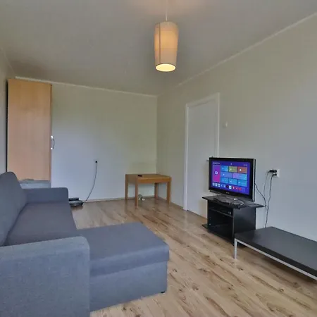 公寓 Song Festival Apartment, 5-10 Min From Bus/airport *